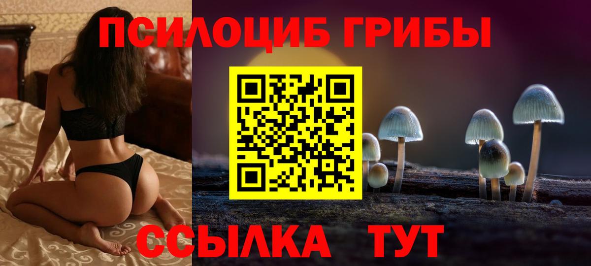 ЭКСТАЗИ Великий Новгород
