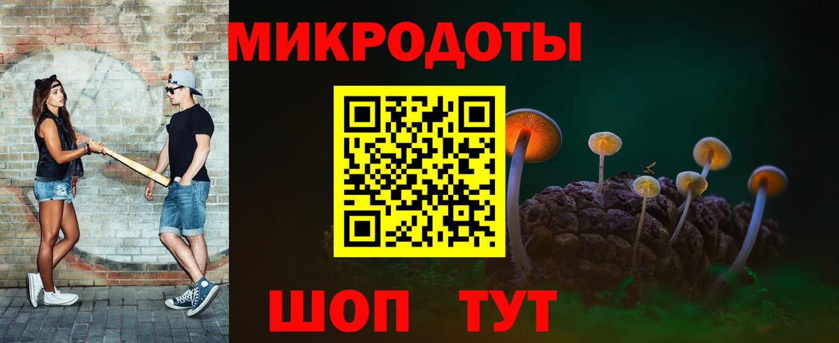 Галлюциногенные грибы прущие грибы Великий Новгород